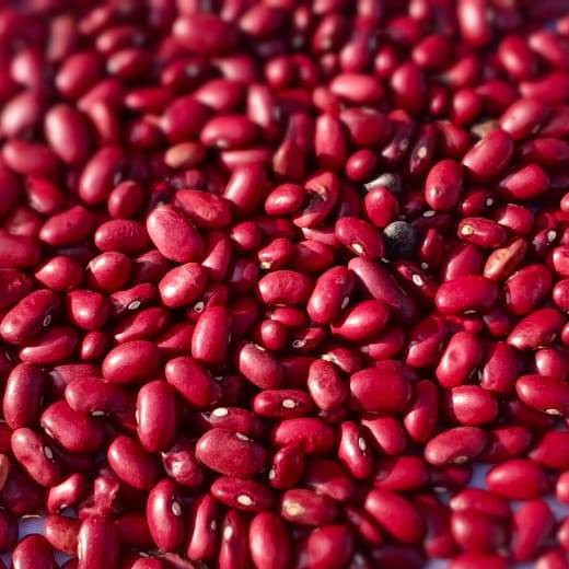 Beans
