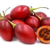 Tree-tomatoes