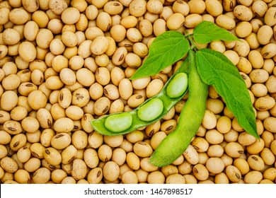 Soya