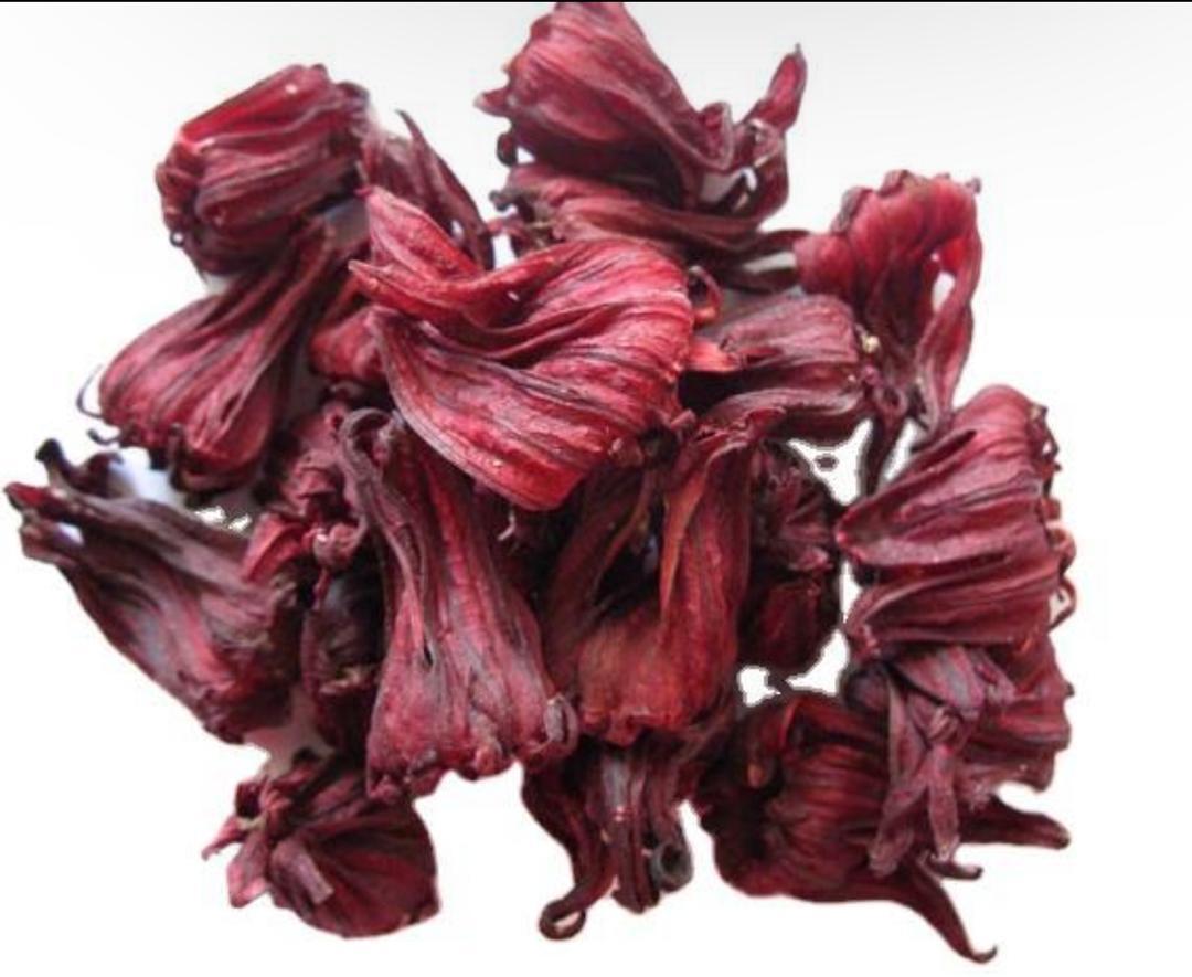Red Hibiscus Flower